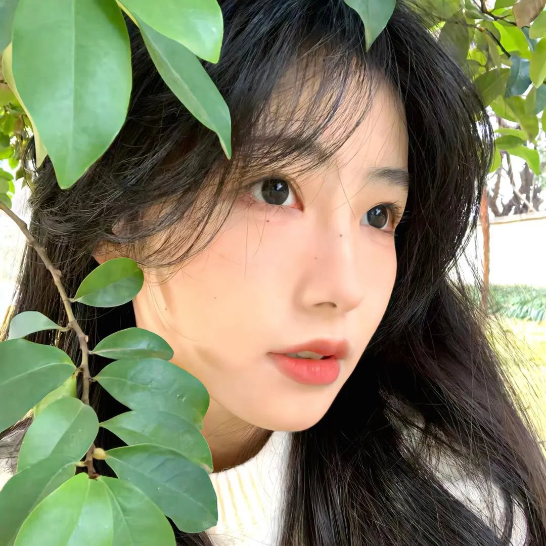 伊娜:初生之犊